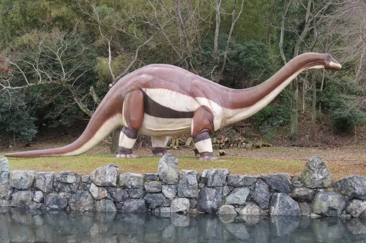 🏕️ 동카구라 삼림공원 캠프장(히가시카구라 신린코엔 캠프죠) 이미지 8